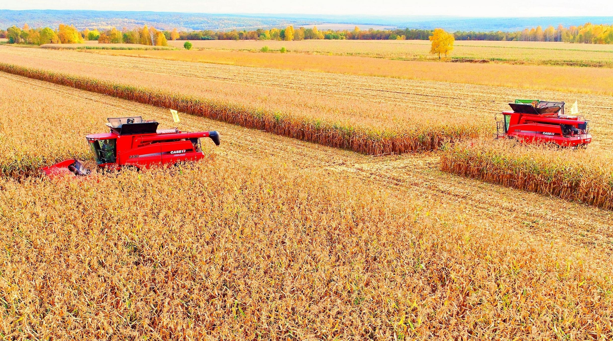 逊克农场:唱响粮食增产丰收曲