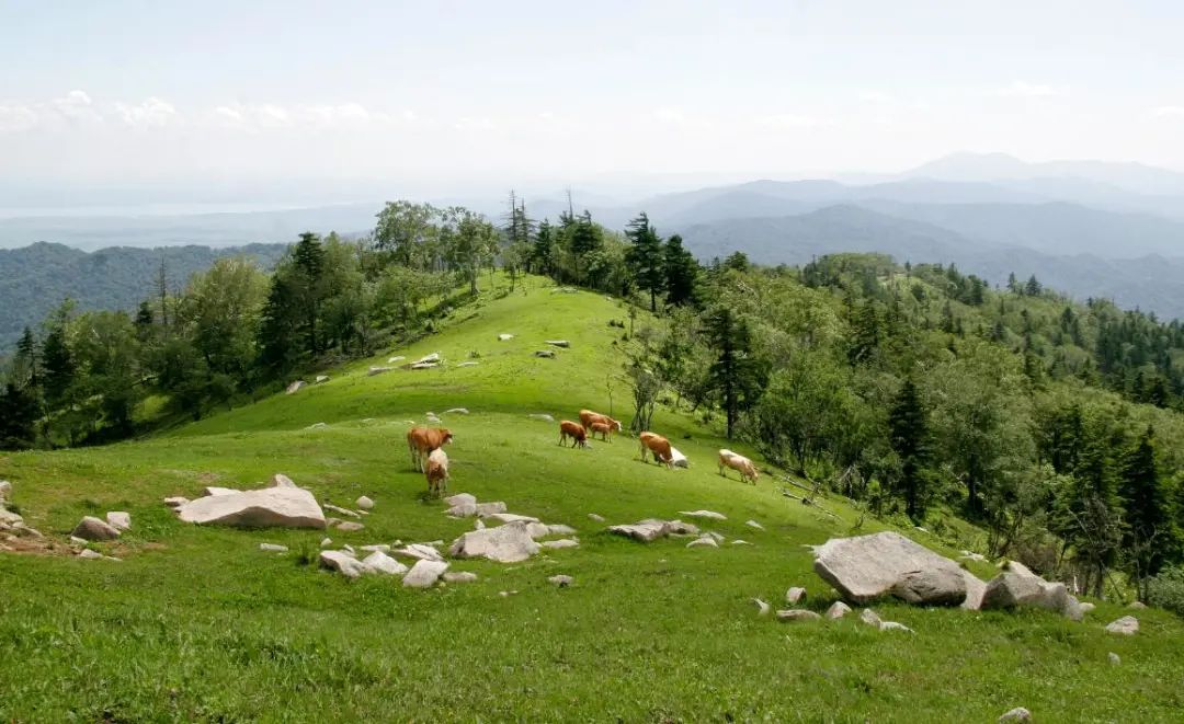 吉林市—珲乌高速—蛟河出口—蛟河市河南街登场村—老爷岭景区