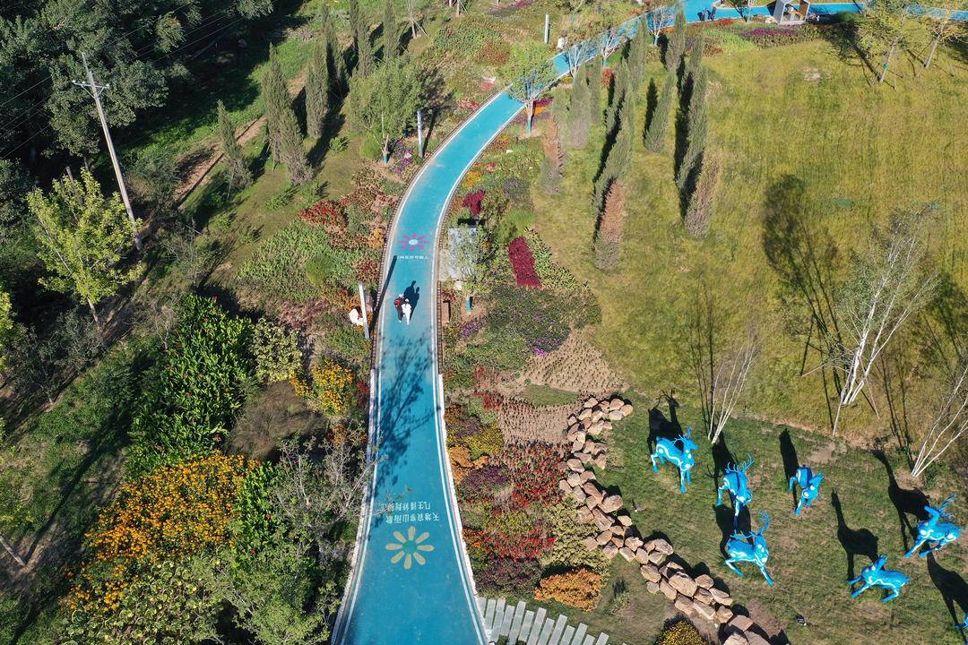沈阳:花间道运动公园亮相成网红打卡地