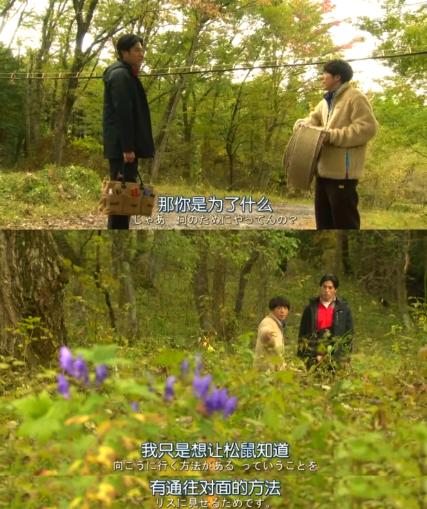 《我们由奇迹构成》:探索心灵与存在的治愈之旅