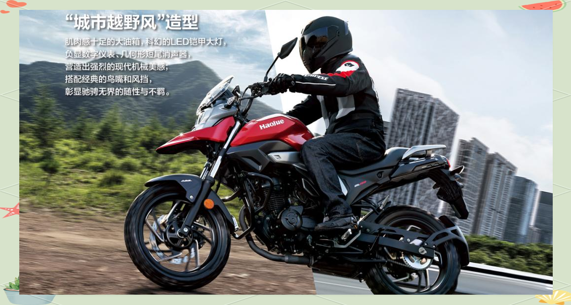 年轻人不碰的拉力车型DL150，为何仍值得关注-有驾