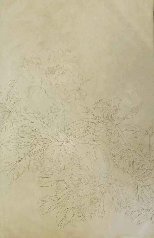 图文教程|龚雪青老师工笔牡丹《雨后》步骤解析