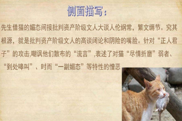 狗猫鼠的中心思想