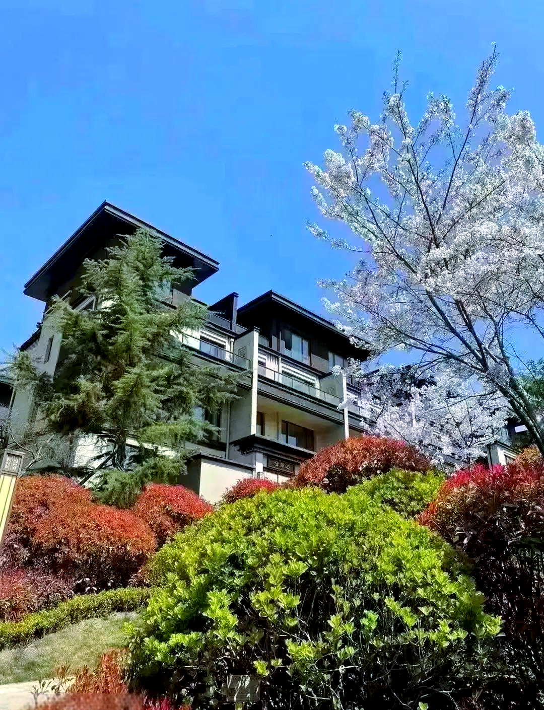 青岛康大江山樾为何难售,原因出在哪里