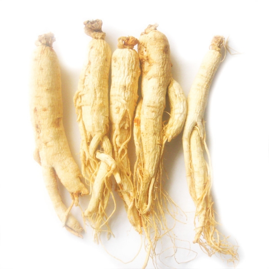 白参有什么功效?