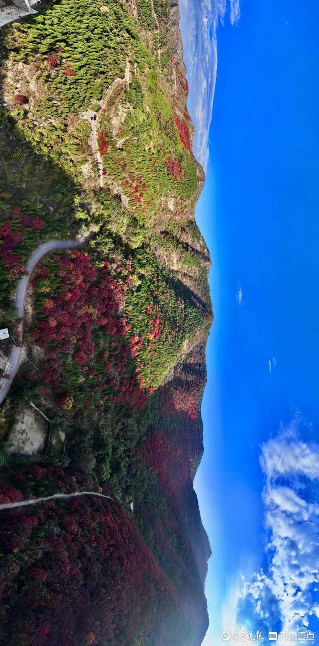 航拍济南彩石镇捎近村的红叶,漫山遍野格外耀眼