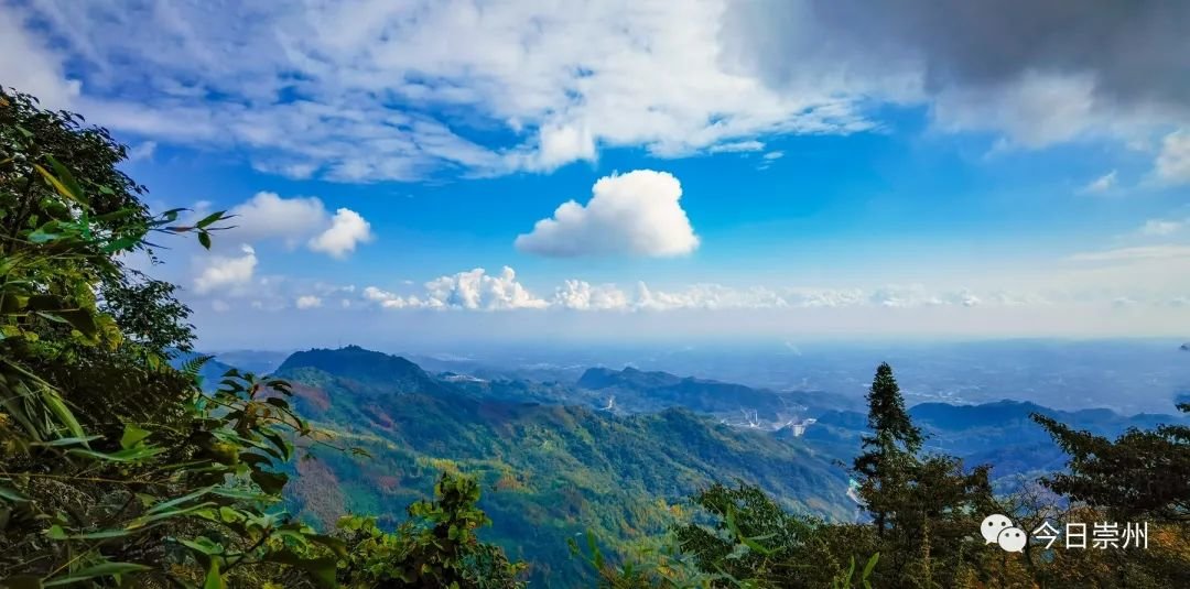 请接收~崇州文井江彩林的美颜暴击!