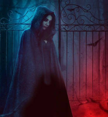 强推,9.8分玄门小说《民间诡闻实录》,男接阴婆讲述奇闻异事!