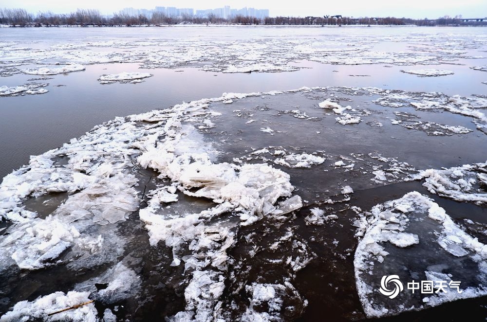 气温下降 松花江哈尔滨段出现"跑冰排"景观