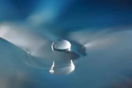 朗诵《我允许》