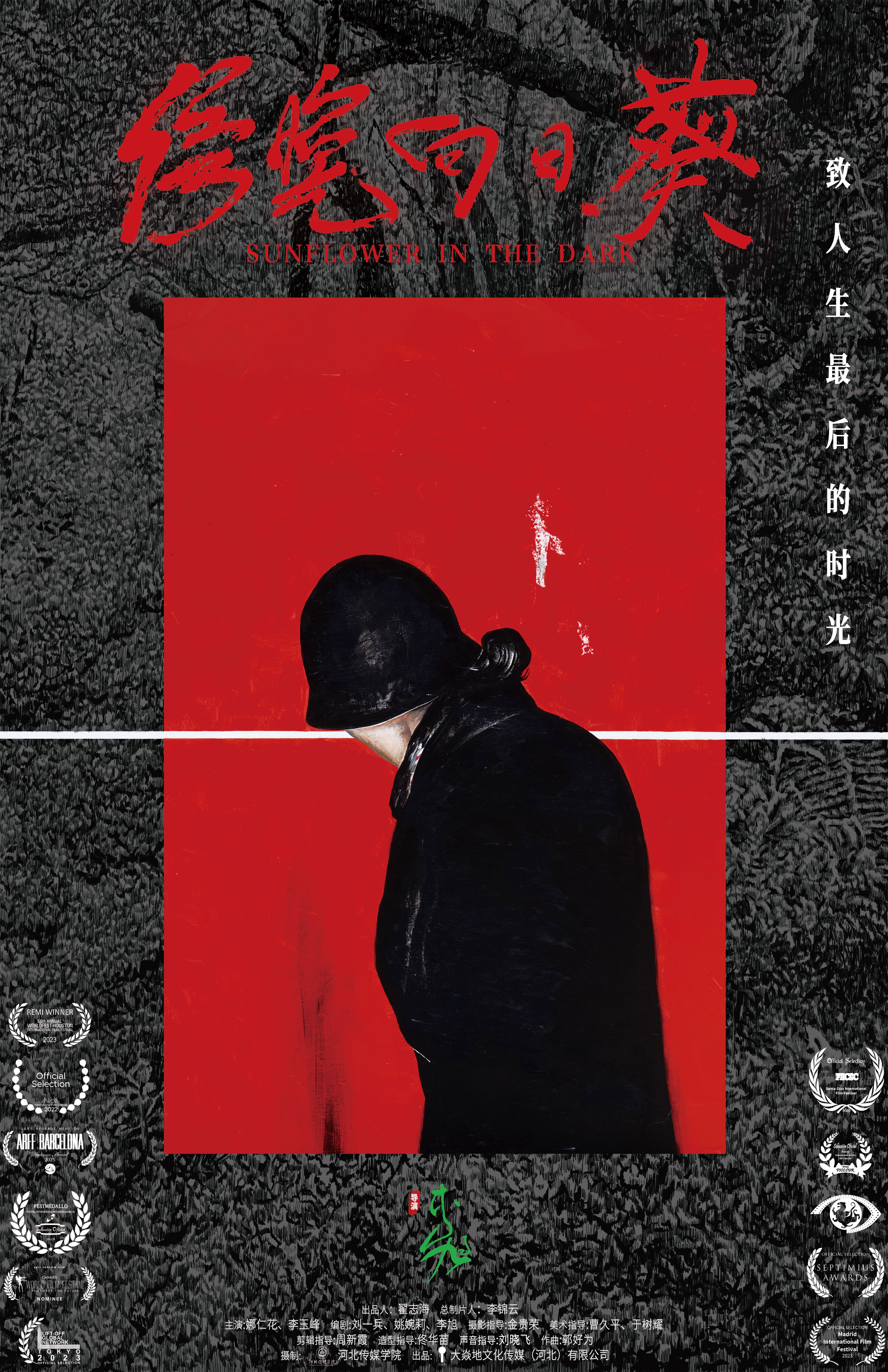 电影《傍晚向日葵》发布先导海报,导演李旭借本片致人生最后的时光