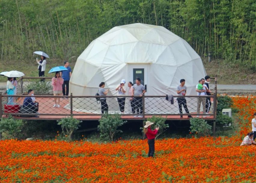 「景区推荐」持续客流高峰,盘点饶峰驿站景区最受游客欢迎的美景