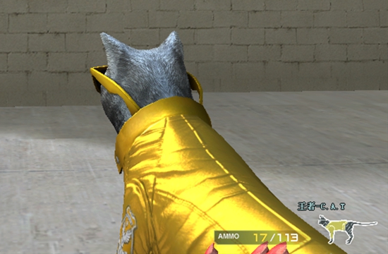 【cf】黄金猫猫手套都送了…不妨大胆猜测,王者cat指日可待?