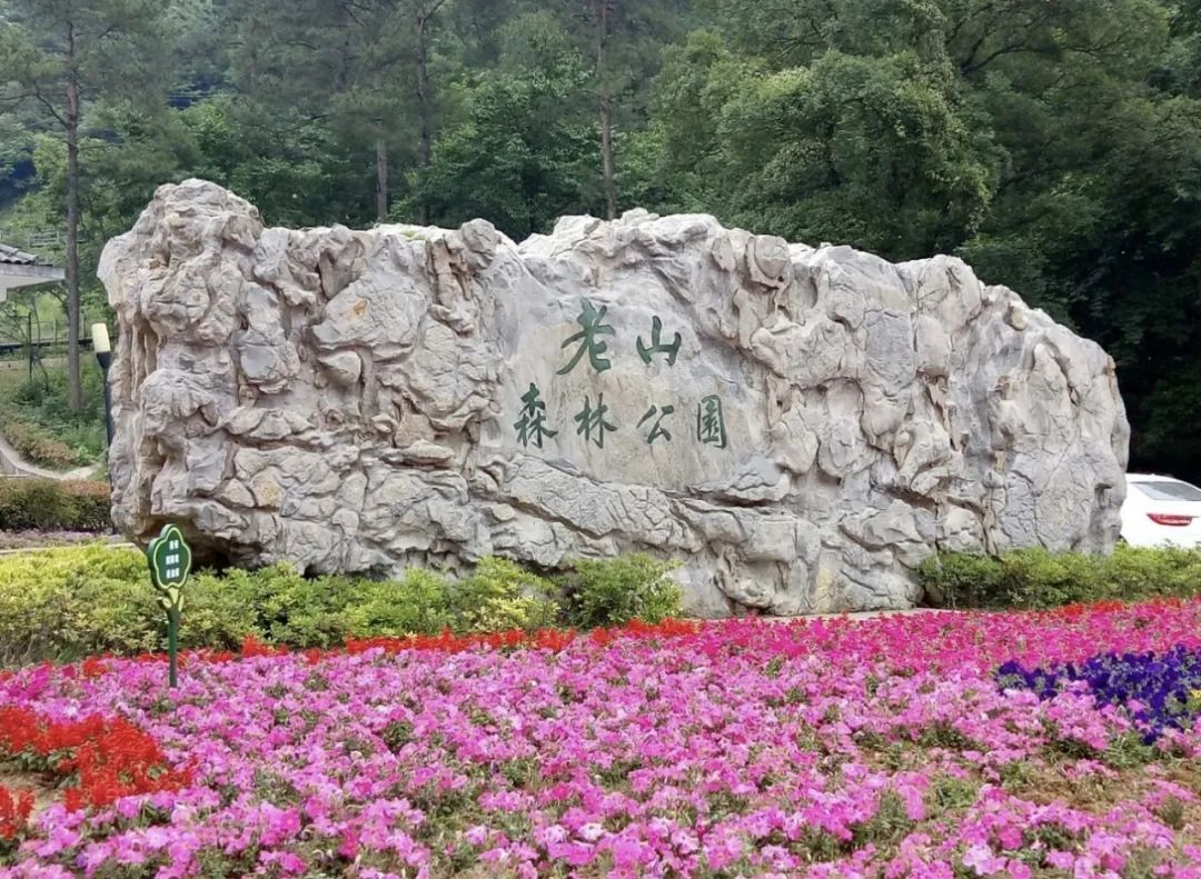 6月,南京这6家景点将免费开放!