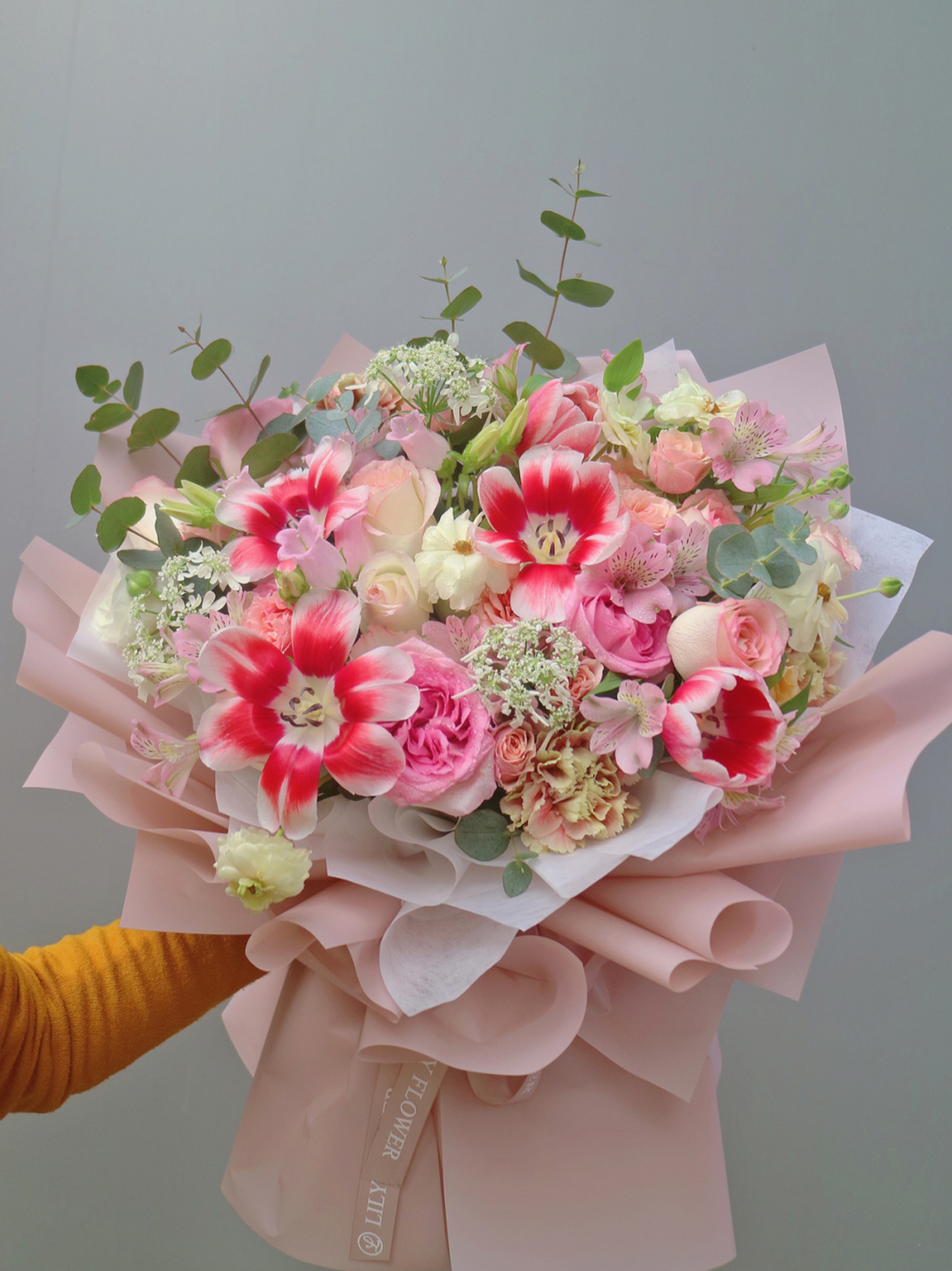 心理测试:选一束你认为最鲜艳的鲜花,测你4月份会有什么好运!