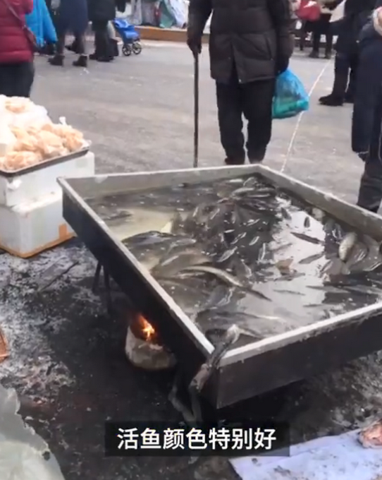 看呆!东北商贩街头零下30度生火煮活鱼为保鲜,网友:温泉鱼?