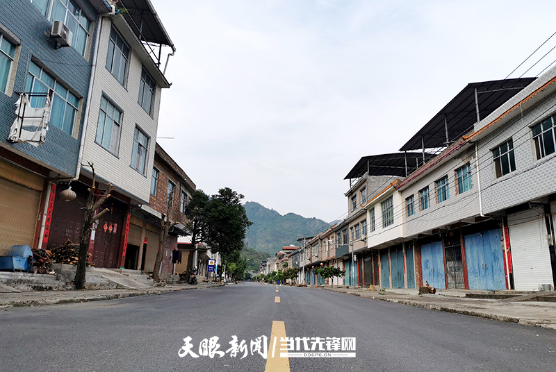 油茶满枝 芒果欲黄|百口整乡搬迁后盘活"三块地"见闻