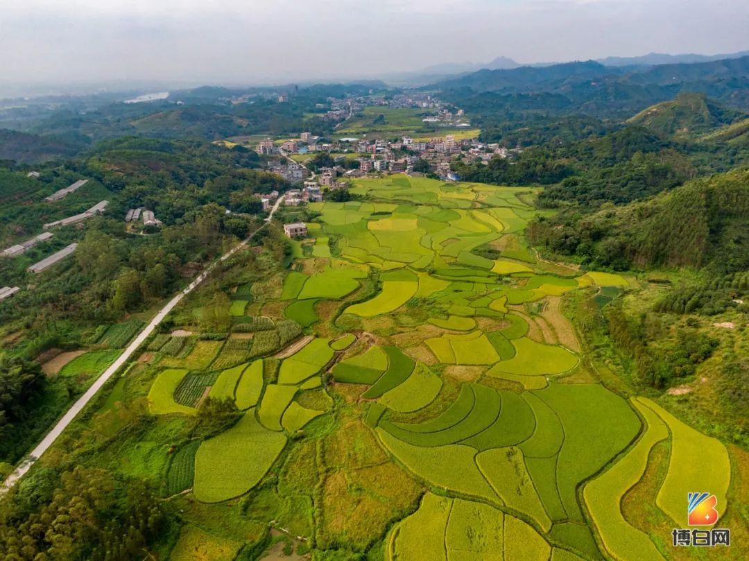 「航拍」博白始建于明朝的古村落,出过晚清举人,家家户户四合院