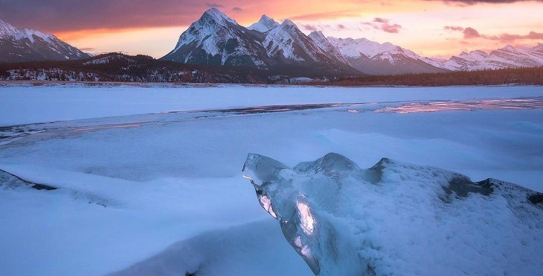 石炭纪是巨虫的时代,它们为何会灭亡?巨虫的落幕从雨林崩溃开始