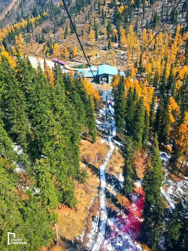 已进入最佳观赏期!亚洲最大彩林遇见雪山冰川,巴适得板