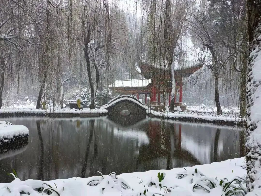 建文帝会不会也感慨,雪后的武定狮子山美若仙境!