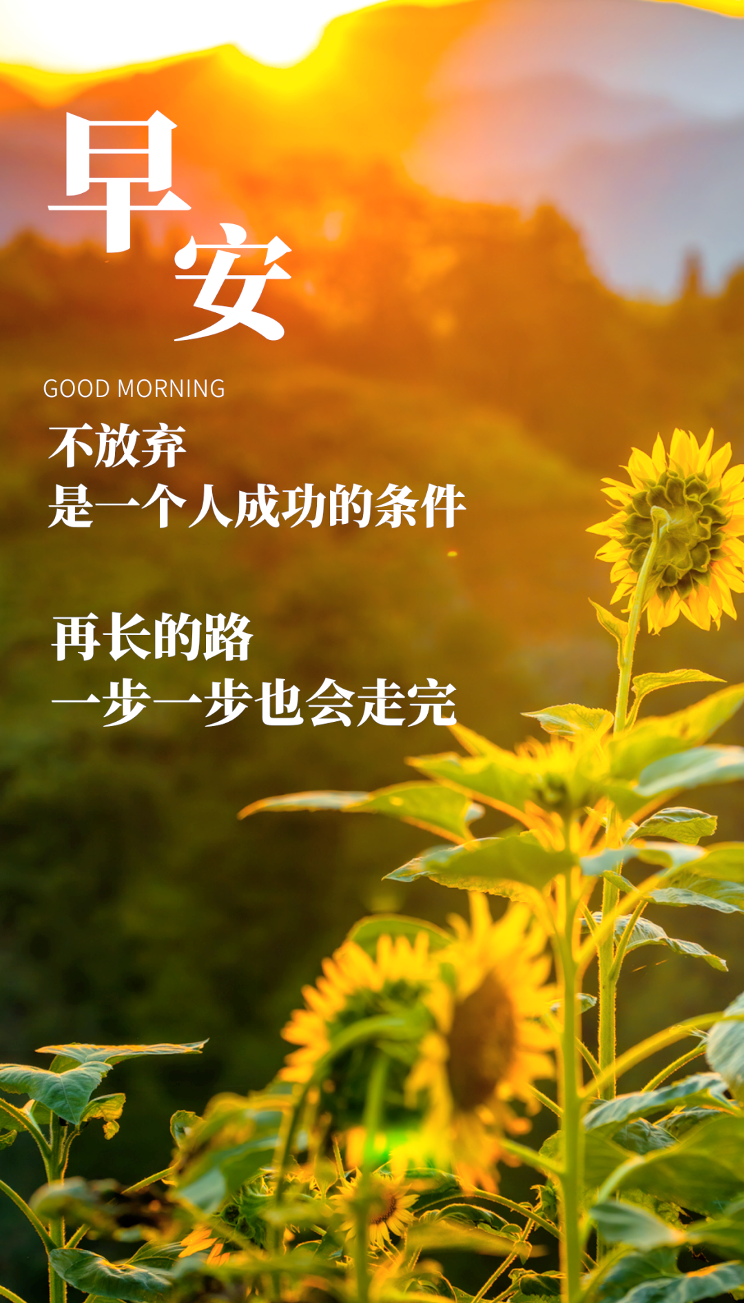 朋友圈早晨正能量励志语录精选
