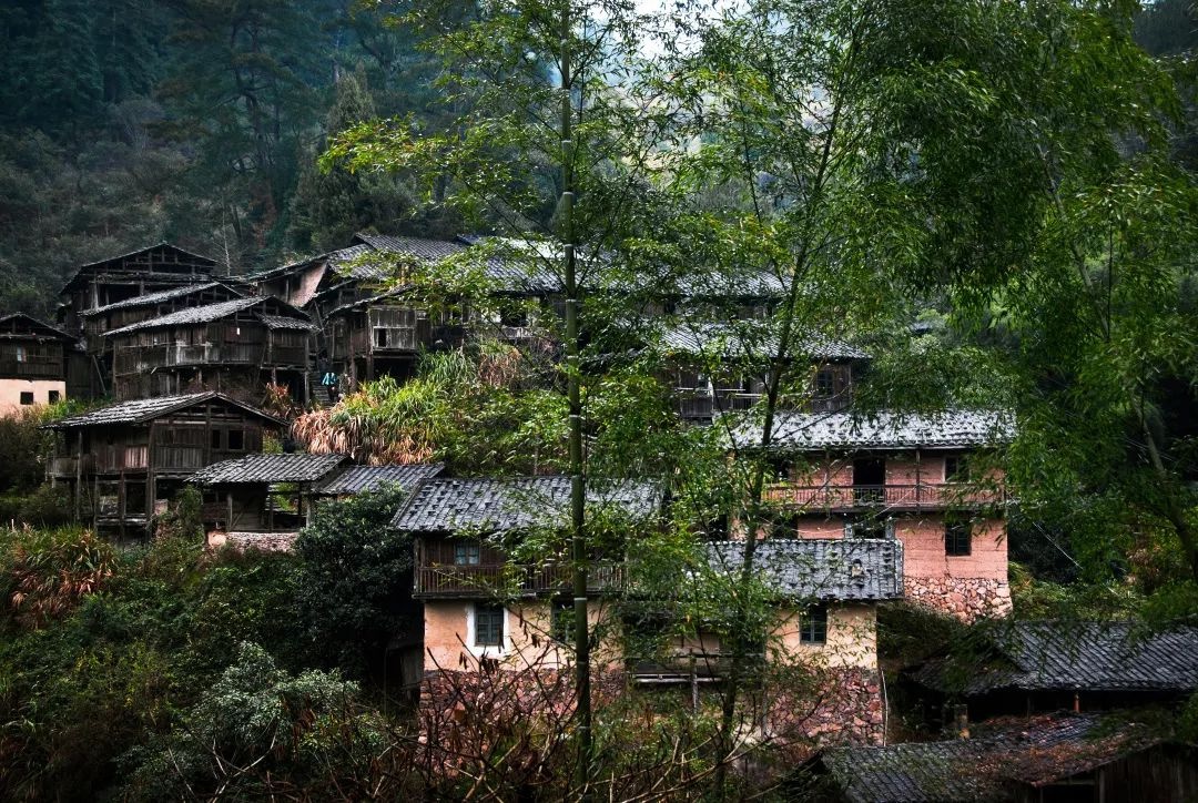泰宁县大龙乡:"沉睡"的古村落焕发新生机