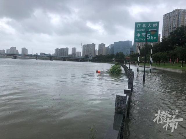 记者现场直击,姚江水位已漫过堤岸20厘米,大型楼顶停车场已停满车