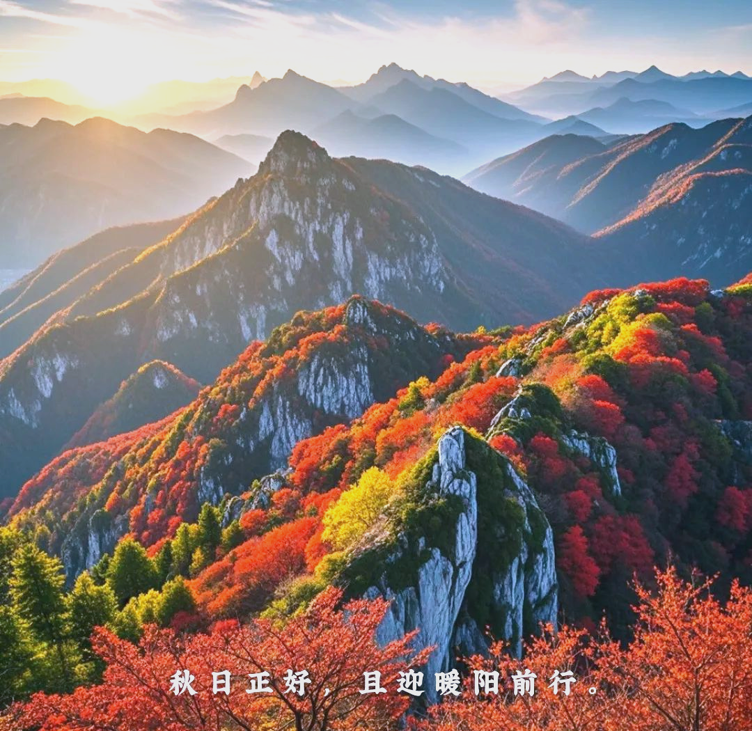 重阳节登高习俗的多样意义与现代传承