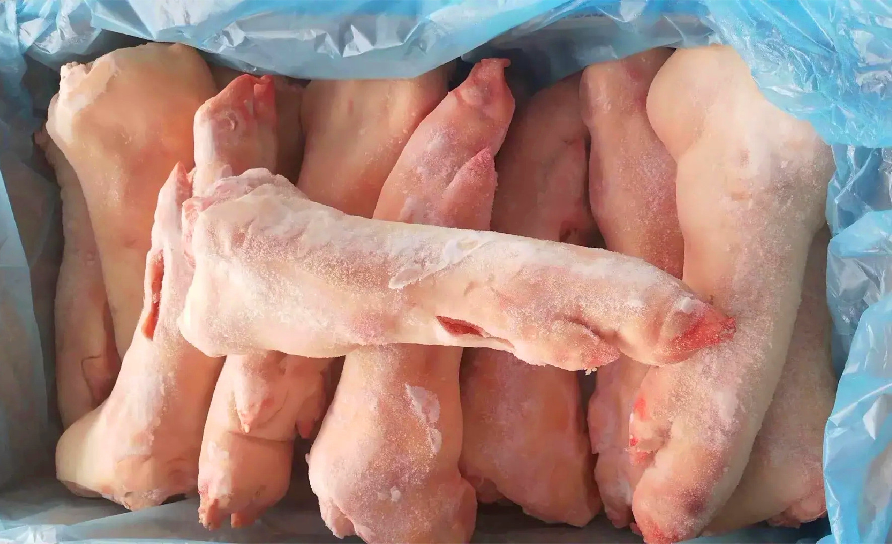 这是冻猪蹄腥味重的根本原因,价格肯定卖不高.