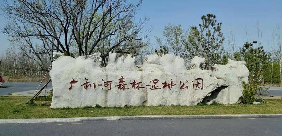 广利河森林湿地公园大锅炖明天正式营业啦!火爆预定中
