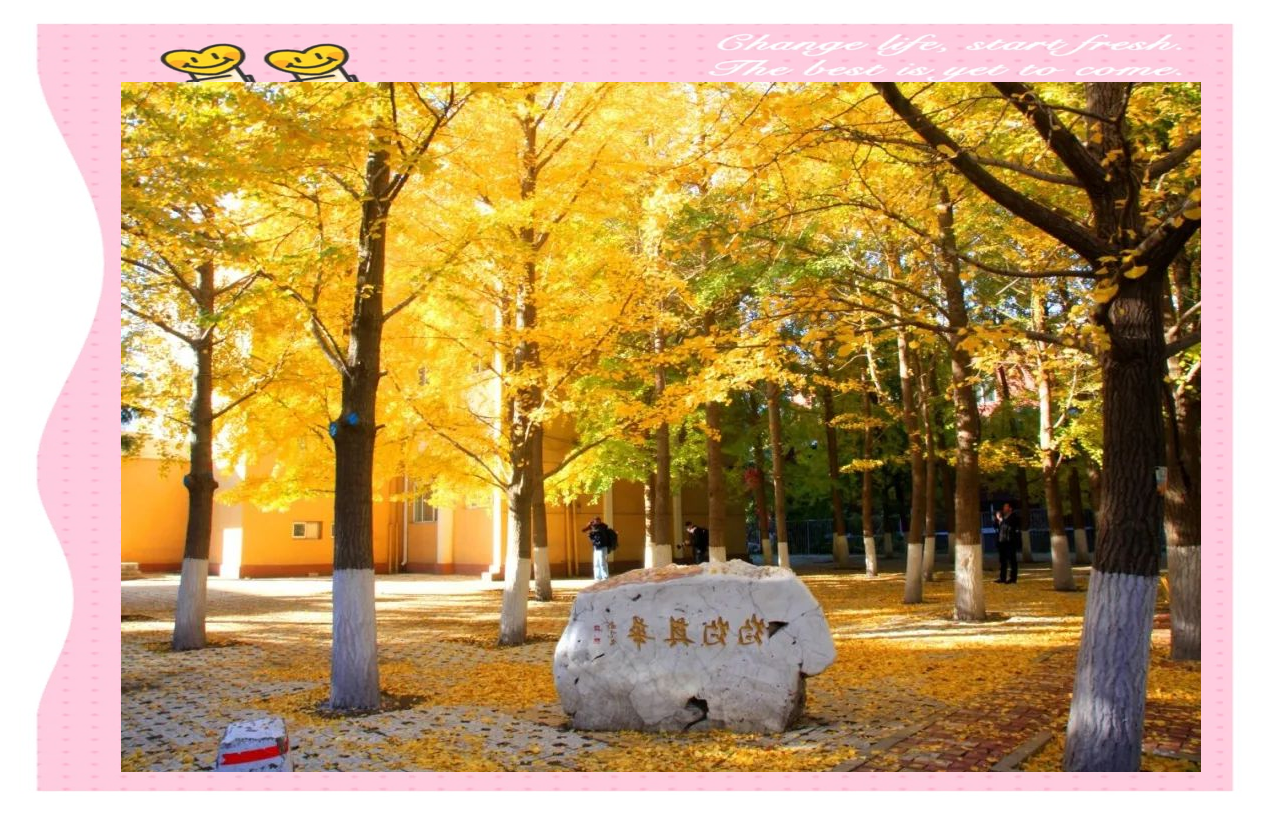 辽宁大学王牌专业