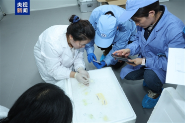 中国空间站第九批实验样品返回并交付科学家：包含四只太空小鼠