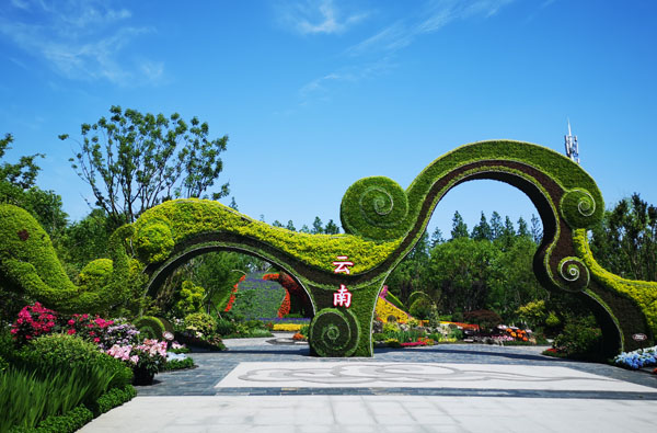 一园看尽天下花!第十届中国花博会今天在上海崇明盛大开幕