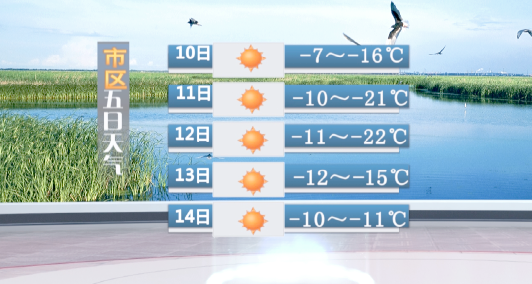大庆天气预报15天气天气大全