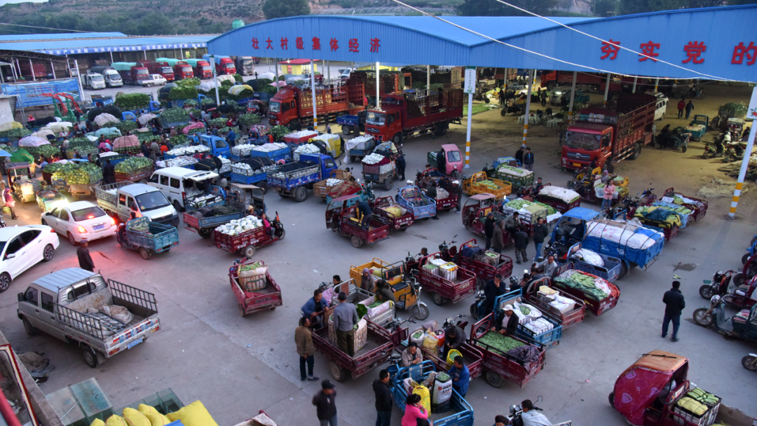 临洮县新添镇崖湾村:小村蔬菜产业的"蝶变"故事