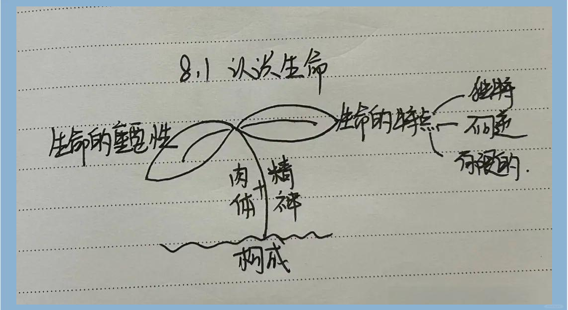 2024版七上《道德与法治》新教材创意板书概览