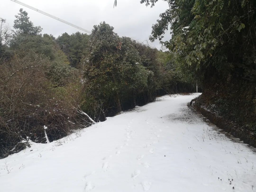 寒流袭来 保山成功加入下雪群聊