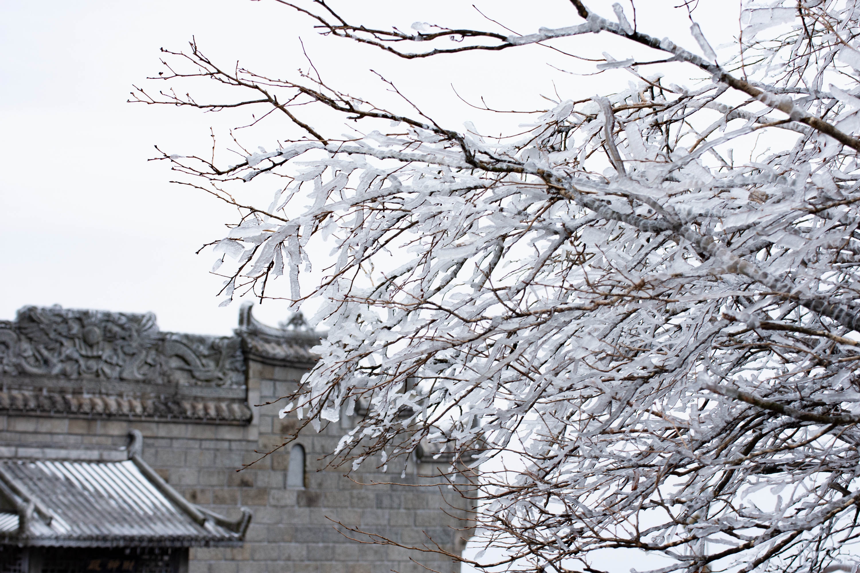 南岳衡山雾淞醉游人
