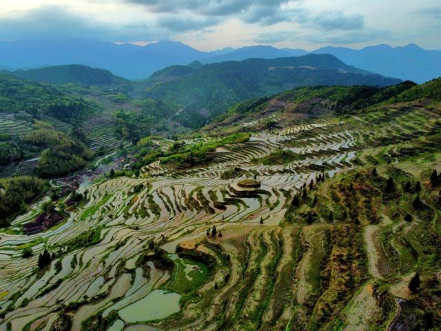 百山祖景宁片区内的秘境梯田,隐藏在大山里的世外桃源