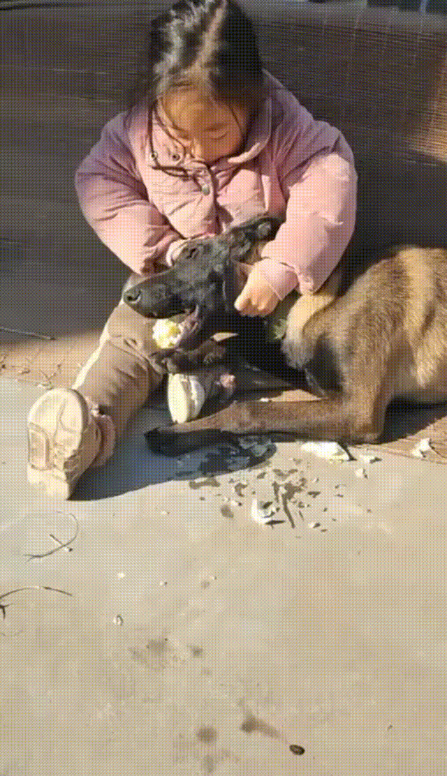 沙漠里发现两行脚印,原来是一只会卡点的甲壳虫!