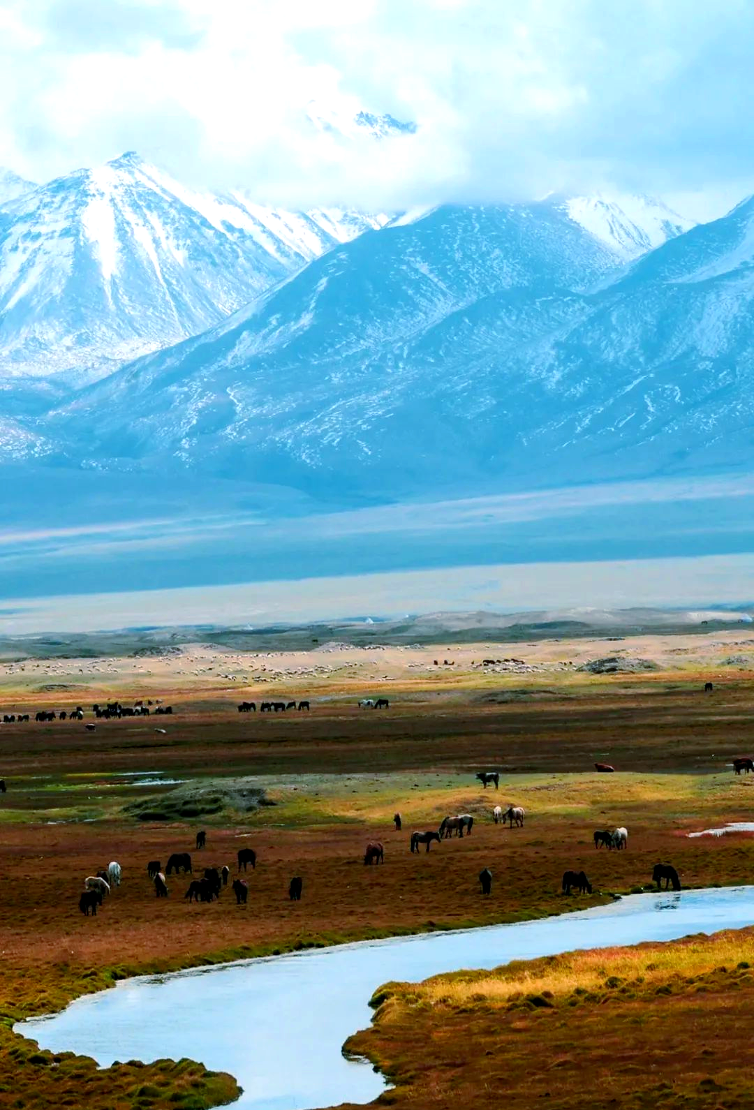 探索可可西里:领略极致荒野与多样美景的生命之旅