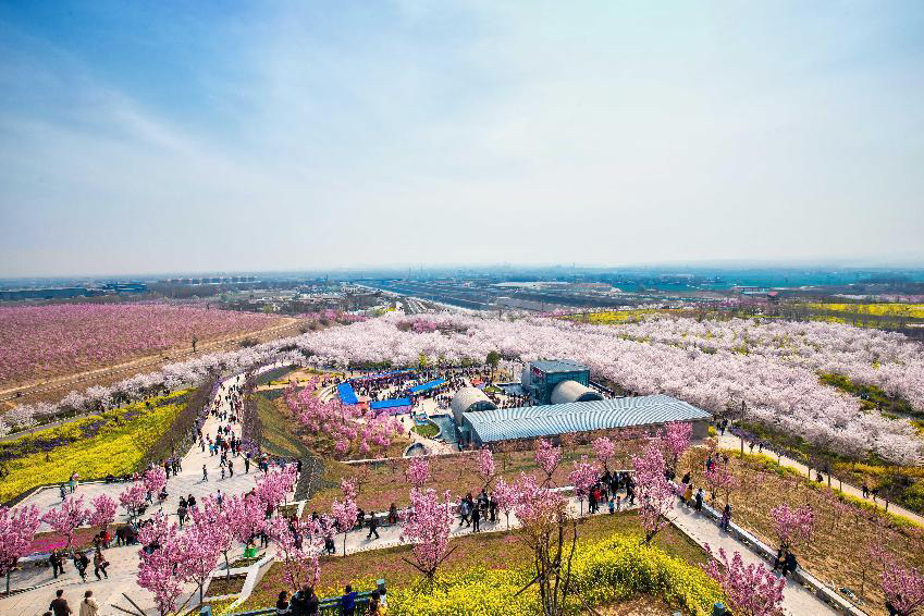 郑上路>郑上路成皋路口(汽车站南门)>郑上路荥密路口>李克寨>庙王路