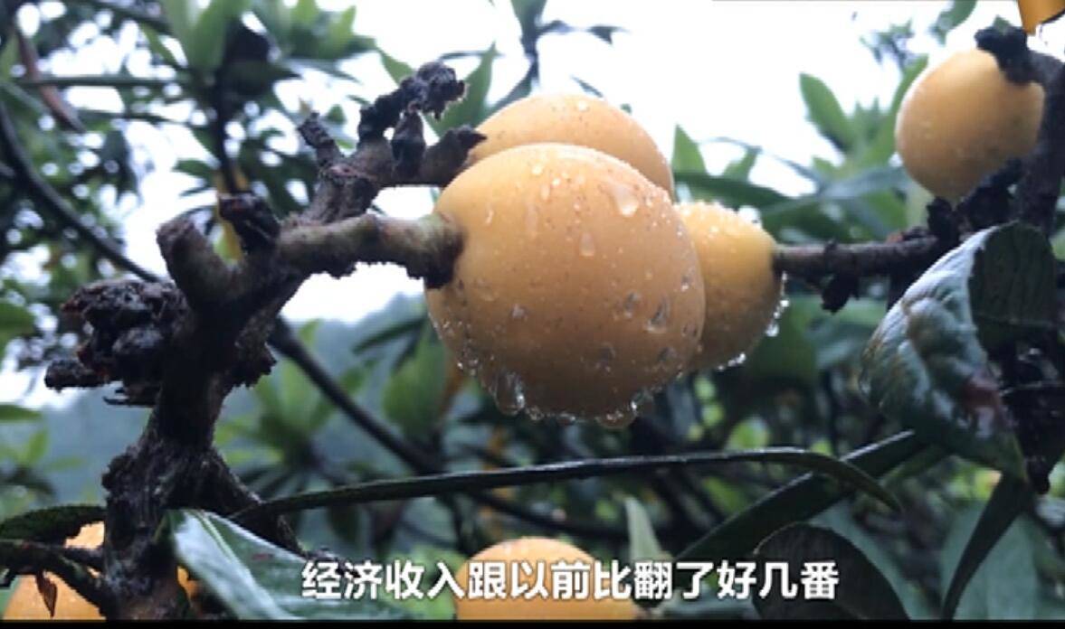 养殖致富经一年赚多少钱(养殖致富经2019年全集)