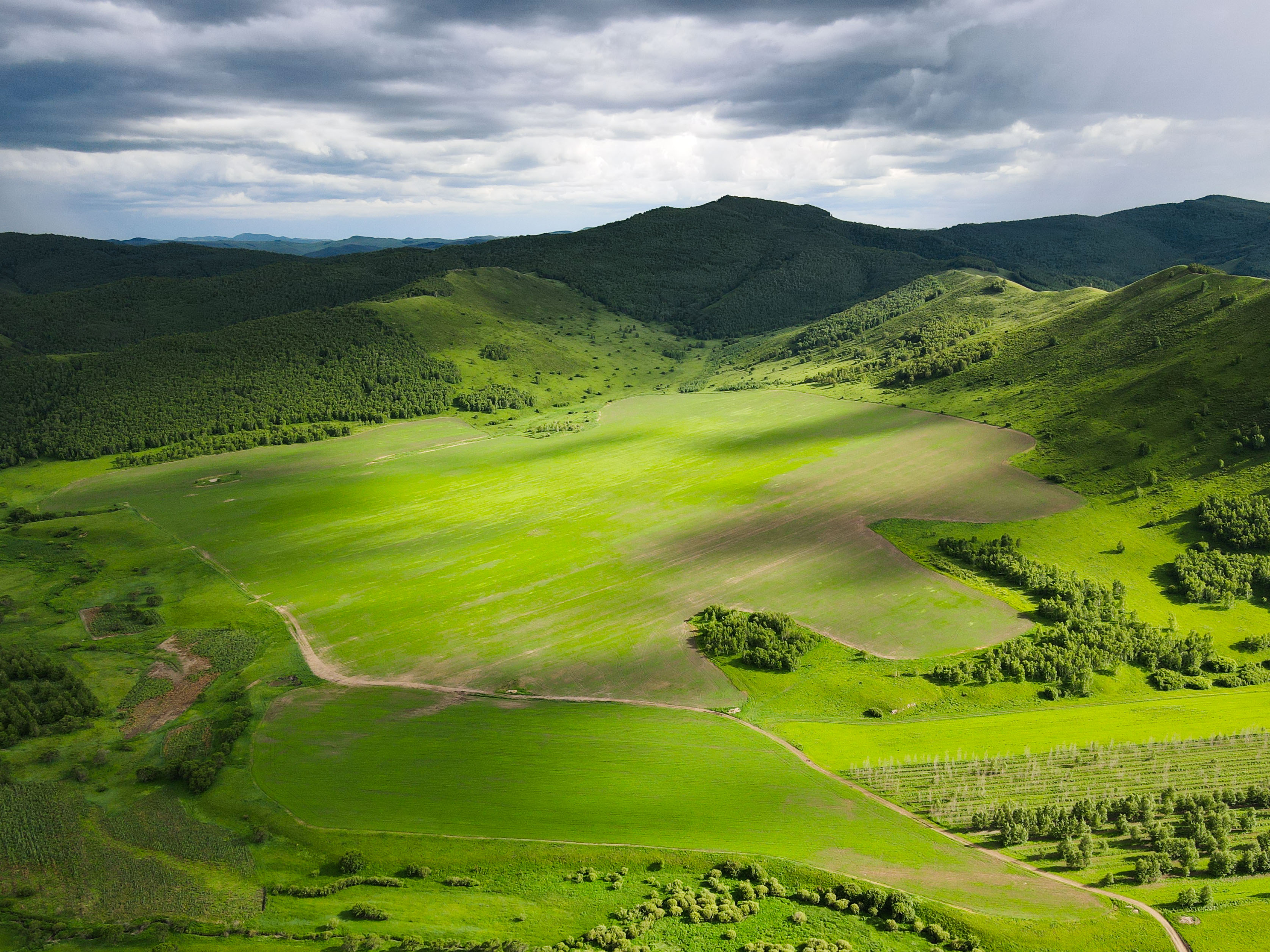 内蒙古完成首单草原碳汇期货式交易