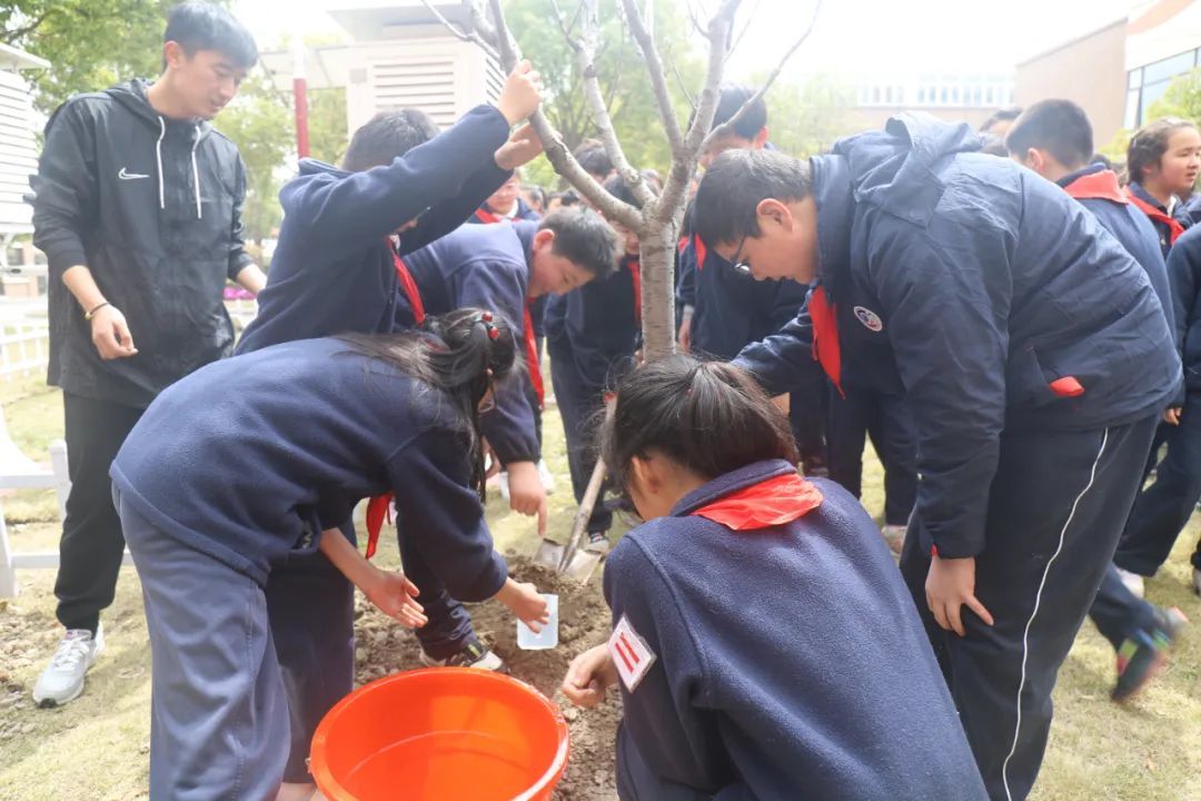 徐汇区徐汇实验小学"五乐"少年 | "植"此青绿 未来可期