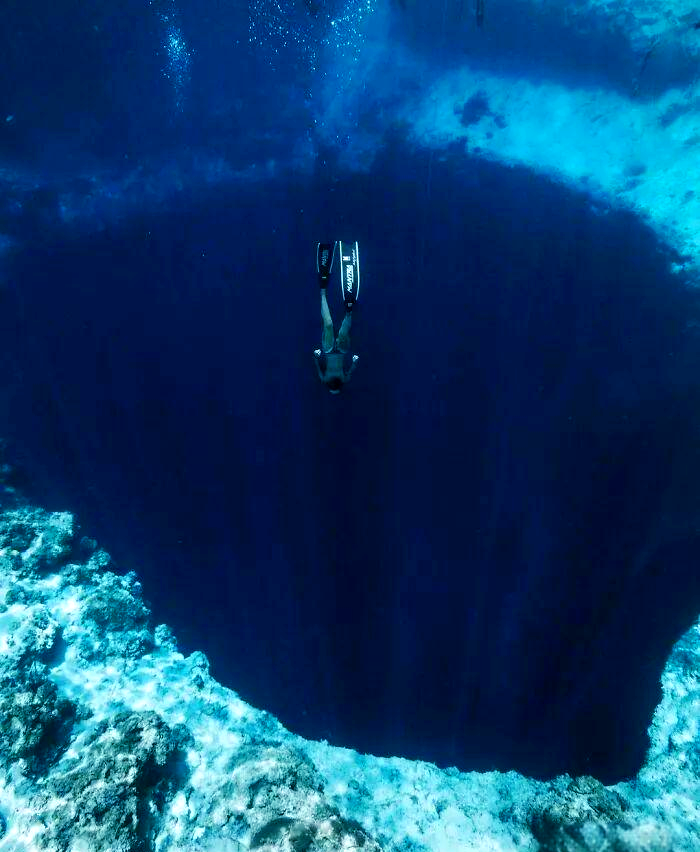 一组深海照片,既迷人又令人恐惧