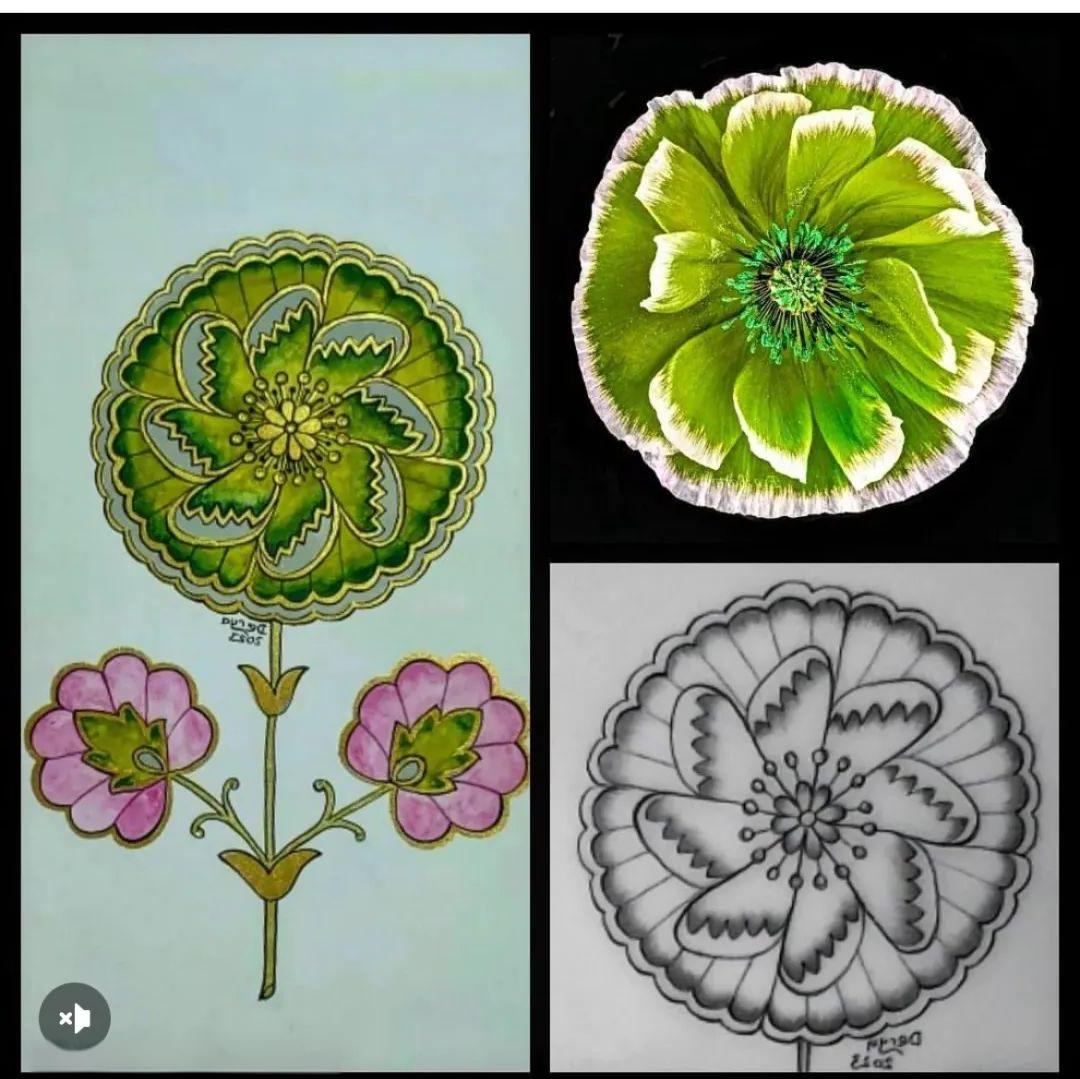 众多来自大自然的精美花草图案