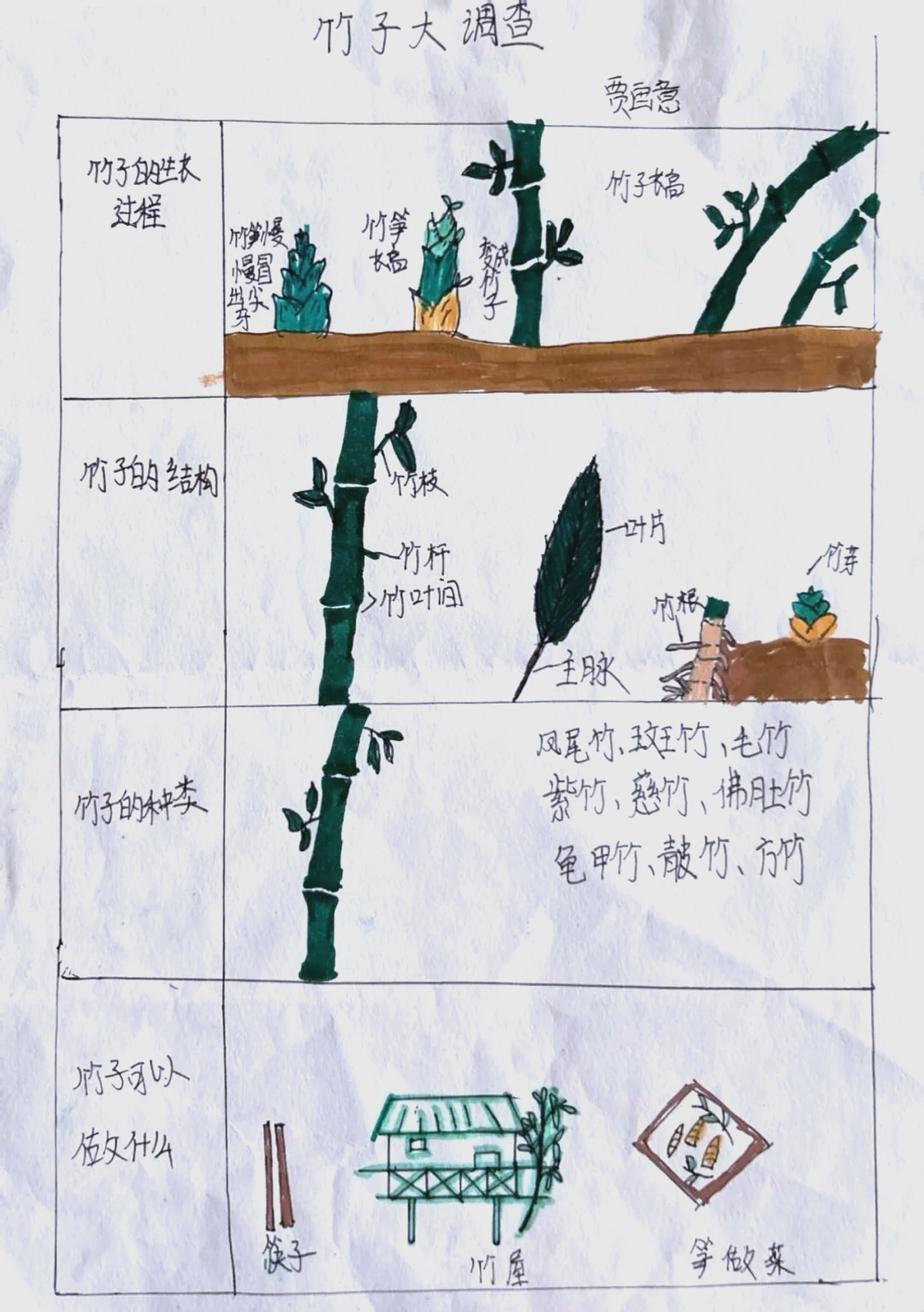 竹艺巧思在竹子手工艺品制作的过程中,孩子们的创造力得到了充分展现