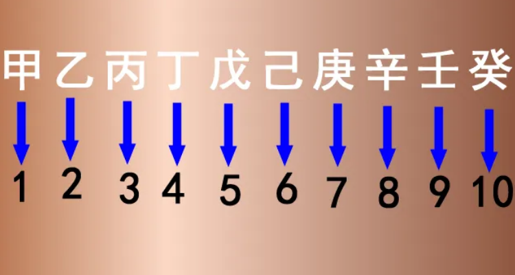 甲乙丙丁后面是什么顺序